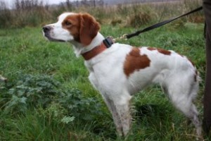 317221_10150347427667826_2091131124_n[1]