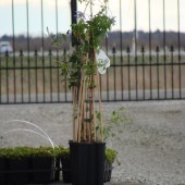 Velkommen til vores nye hjemmeside!